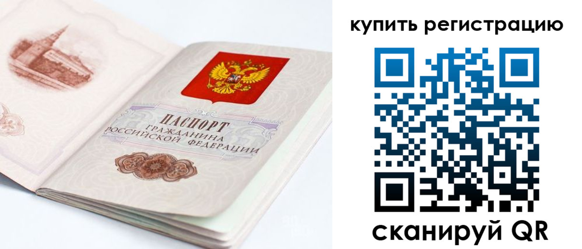 прописка поиск в Шебекино
